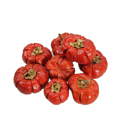 680-01 - Stafil - Mini Citrouilles 100g/P rouge - 