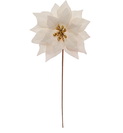 4903-02 - Stafil - Poinsettia blanc - Fleurs