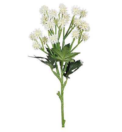 43939-05 - Stafil - Chardon blanc - Fleurs