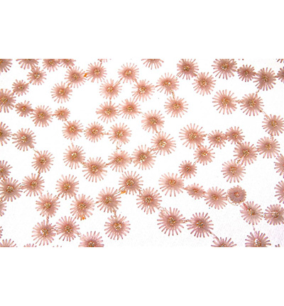 240166-03 - Stafil - Lace Daisy, Light Pink - Lace Daisy