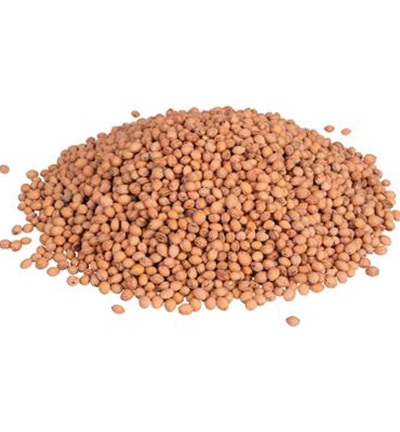 5810-01 - Stafil - Cherry Stones natural - Noyaux de cerises