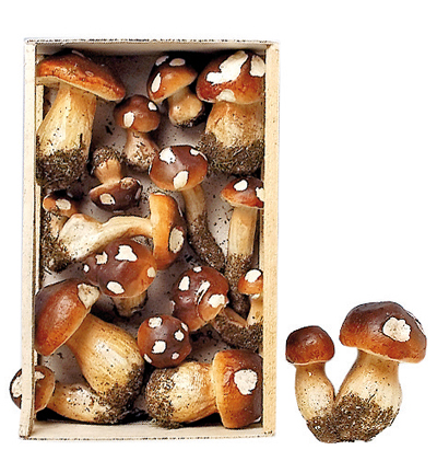 589-13 - Stafil - Champignons assortis - 