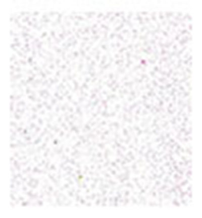 8535-00 - Stafil - Foam, White Glitter - Foam glitter