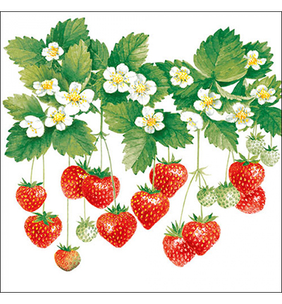 13308205 - Ambiente - Summer fruits - Serviettes – Général