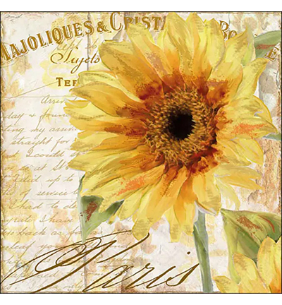 13309655 - Ambiente - Tournesol - 