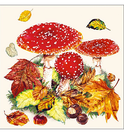 13311025 - Ambiente - Fly Agaric - 