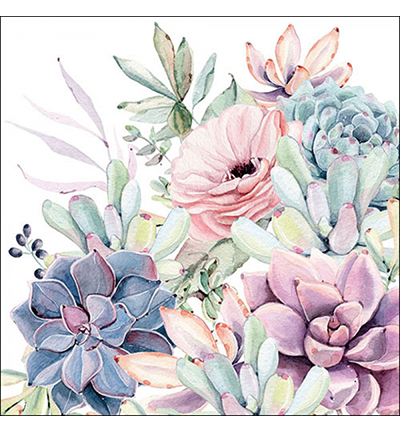 13313285 - Ambiente - Succulent love - 