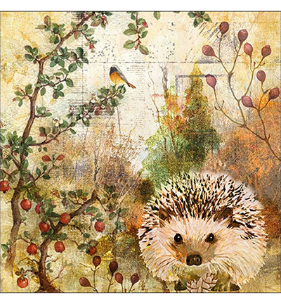 13314450 - Ambiente - Autumn Hedgehog - 