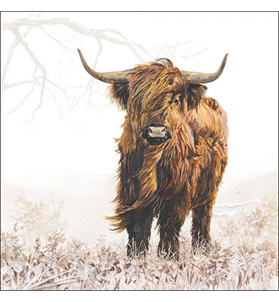 13315115 - Ambiente - Highlander - Serviettes – Animaux