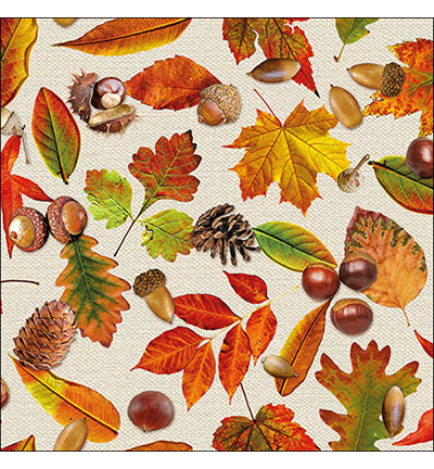 13315625 - Ambiente - Autumn festival - Serviettes – Automne