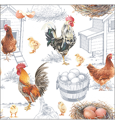 13315875 - Ambiente - Chicken Farm - 