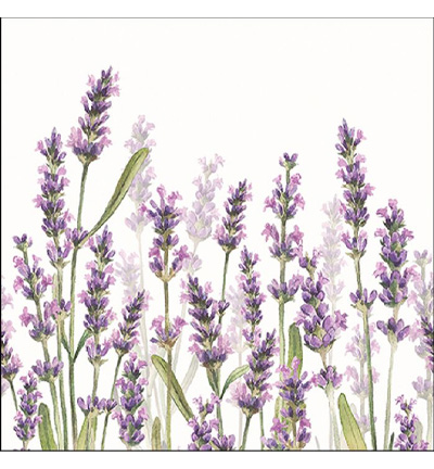 13315985 - Ambiente - Lavender Shades White - Serviettes – Été