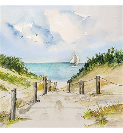 13315995 - Ambiente - Dune path - Serviettes – Général