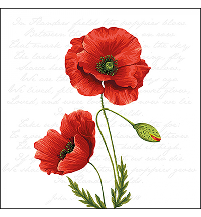 13316120 - Ambiente - Proud poppy - Serviettes – Été