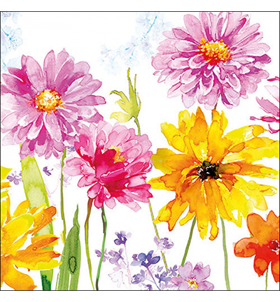 13316260 - Ambiente - Joy - 