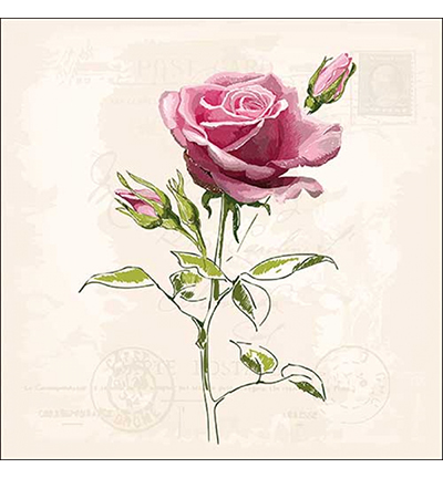 13316360 - Ambiente - Vintage Rose - 