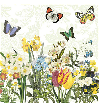 13317015 - Ambiente - Spring bloomers - 