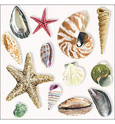 13317390 - Ambiente - Shells - 