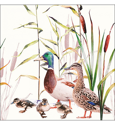 13317490 - Ambiente - Ducks couple - Serviettes – Animaux
