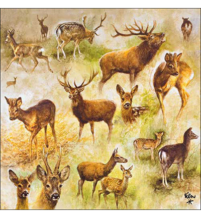 13317770 - Ambiente - Collage of deers - Serviettes – Automne