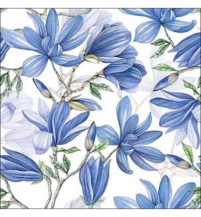 13318496 - Ambiente - Magnolia acuminata white - 