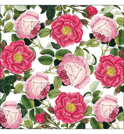 13318515 - Ambiente - Rosaline white - Serviettes – Été