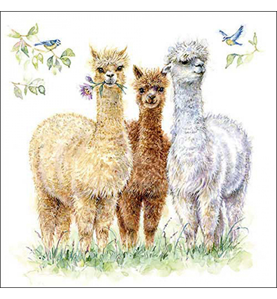 13318570 - Ambiente - Alpaca friends - Serviettes – Animaux