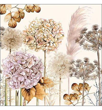 13318690 - Ambiente - Dried flowers - Serviettes – Automne