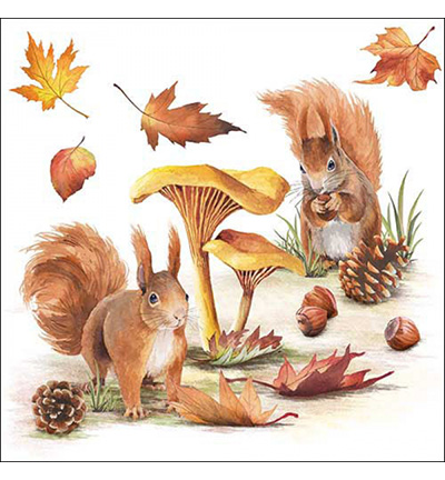 13318820 - Ambiente - Squirrels go nuts - Serviettes – Automne
