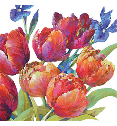 13319310 - Ambiente - Tulips of joy - Serviettes – Printemps