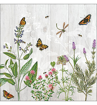 13319345 - Ambiente - Herb garden - 