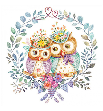 13319405 - Ambiente - Owl couple in love - 