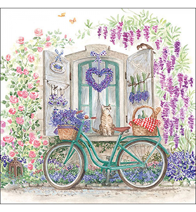 13319410 - Ambiente - Bike with basket - 