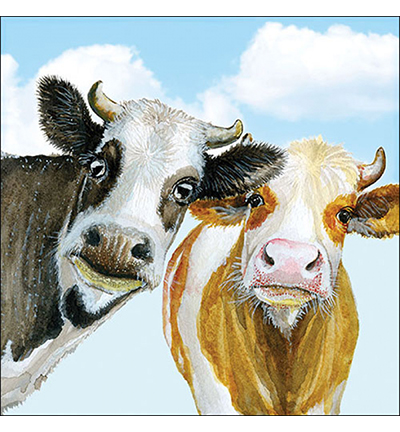 13319430 - Ambiente - Alma and Bella - Serviettes – Animaux