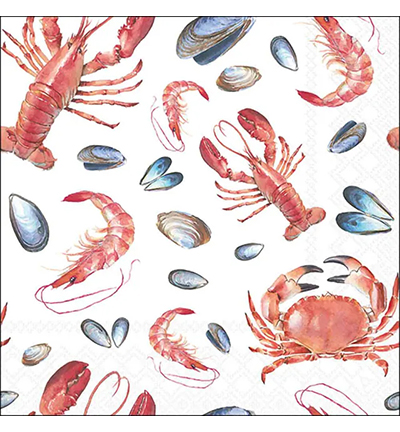 13319485 - Ambiente - Sea life white - 
