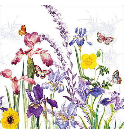 13319540 - Ambiente - Iris garden - 