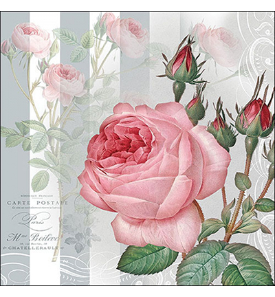 13319565 - Ambiente - Yara - 