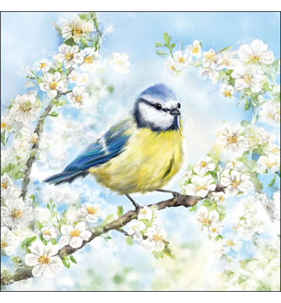 13320355 - Ambiente - Blossom time - 