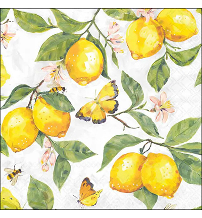 13320365 - Ambiente - Fresh lemons white - 