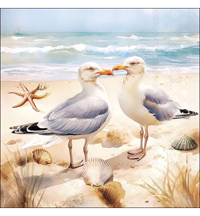 13320380 - Ambiente - Seagulls - 