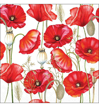 13320415 - Ambiente - Poppy all over white - 