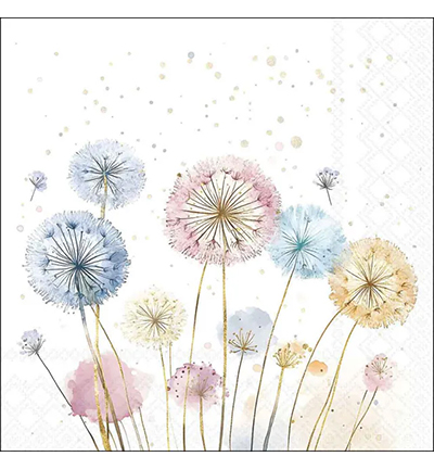 13320465 - Ambiente - Dandelions - 