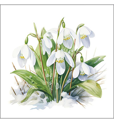 13320490 - Ambiente - Blooming snowdrops - Serviettes – Printemps