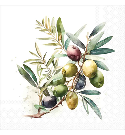 13320650 - Ambiente - Olive branch - 