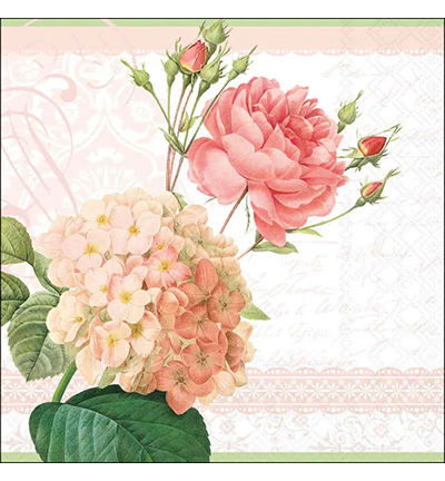 13320690 - Ambiente - Claudia - 