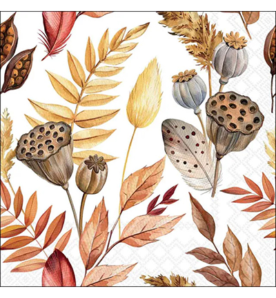 13320885 - Ambiente - Leaves and feathers - 