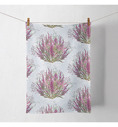 17815690 - Ambiente - Calluna - 