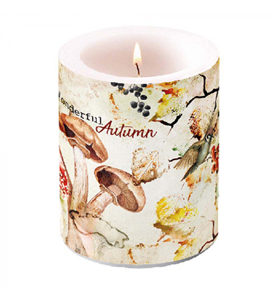 19116725 - Ambiente - Wonderful Autumn - Accessoires Bougies