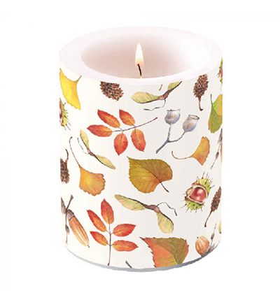 19116840 - Ambiente - Autumn Details - Accessoires Bougies