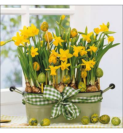 23301605 - Ambiente - Daffodils - Serviettes – Pâques